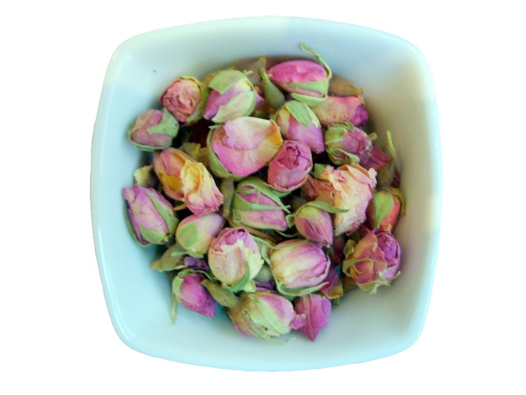 Rosa Centifolia