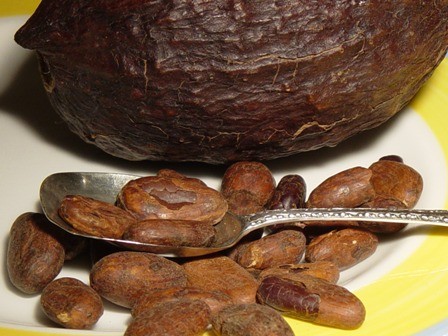 FÈVES DE CACAO
