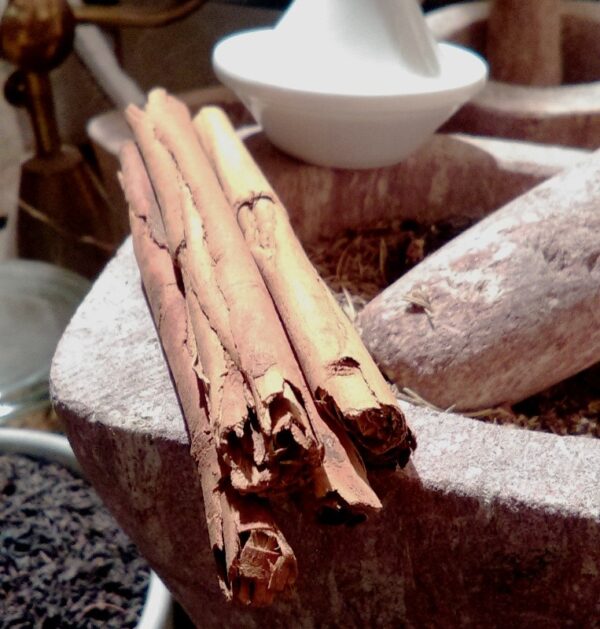 CANNELLE DE CEYLAN