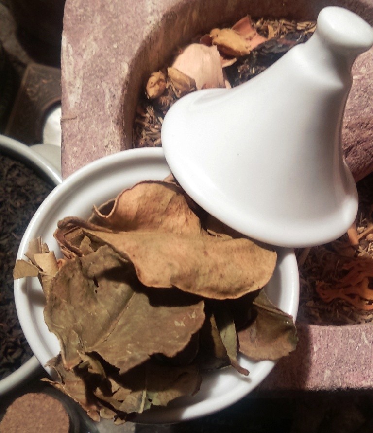 COMBAVA FEUILLES