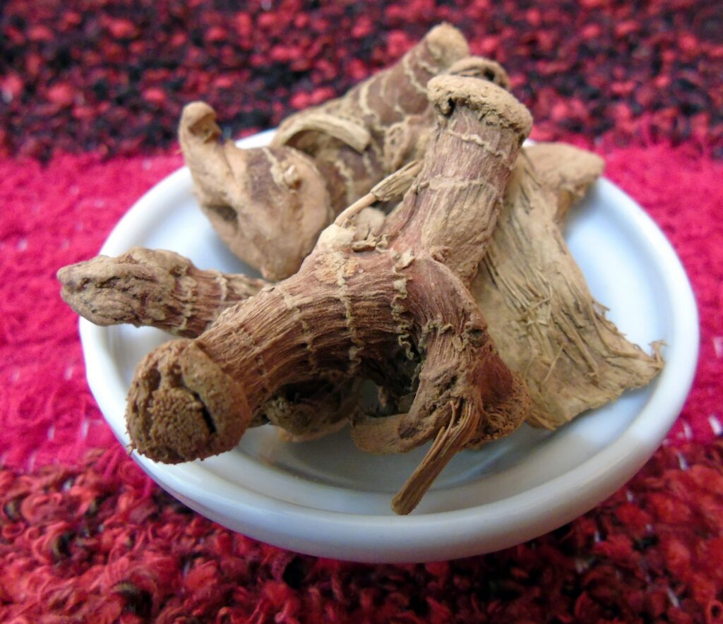 GALANGA RACINE