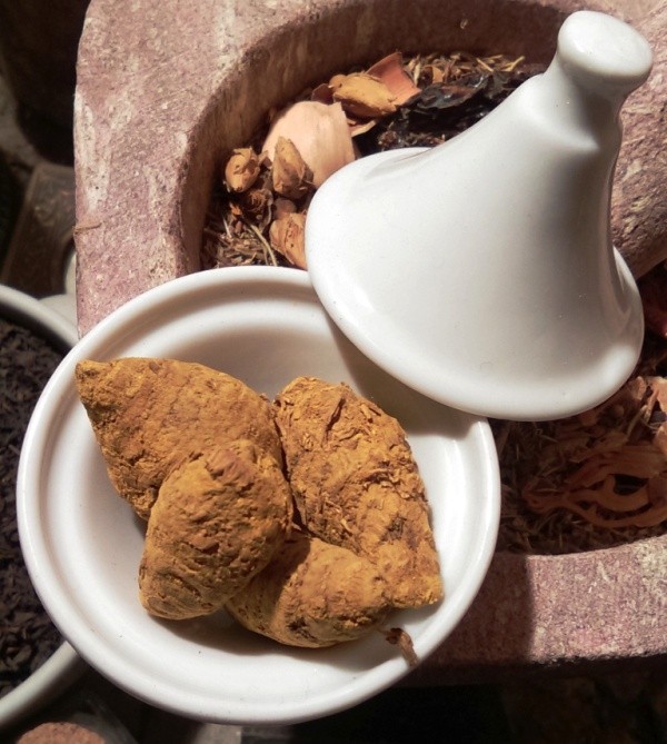 CURCUMA ENTIER