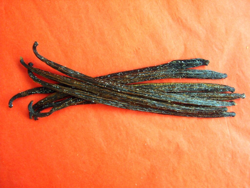 VANILLE DE MADAGASCAR X 10