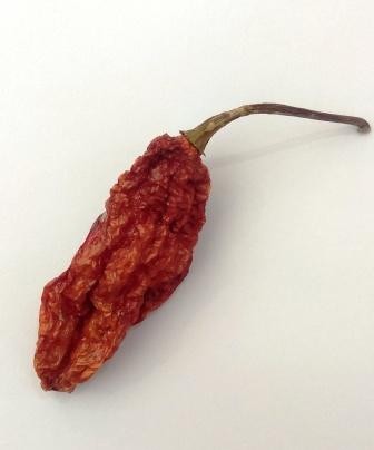 BHUT JOLOKIA