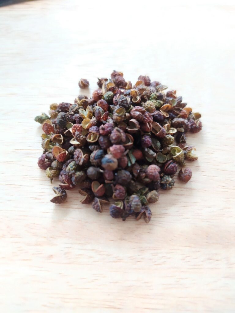SANSHO NOIR