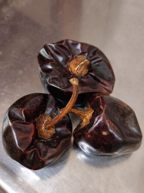 CASCABEL
